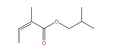 2-Methylpropyl (Z)-2-methyl-2-butenoate